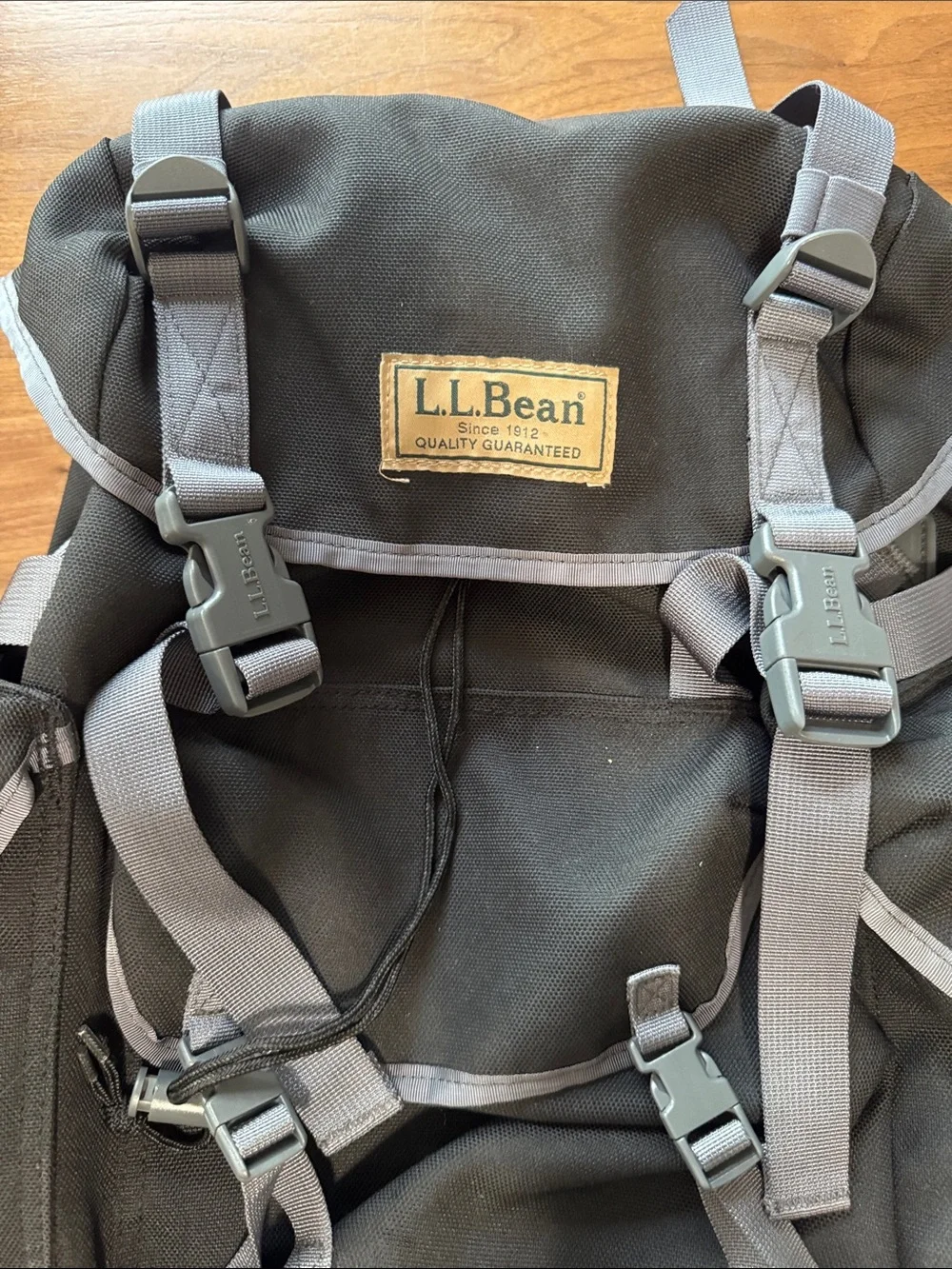LL Bean Xl backpack